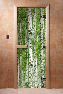 Стеклянные двери DoorWood с фотопечатью А084, коробка ольха